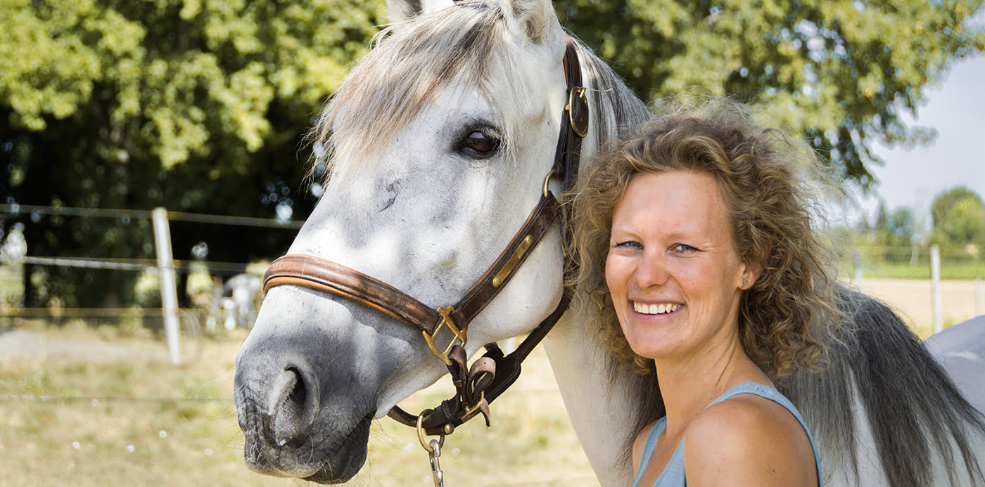 Tierarztpraxis für Pferdezahnheilkunde
